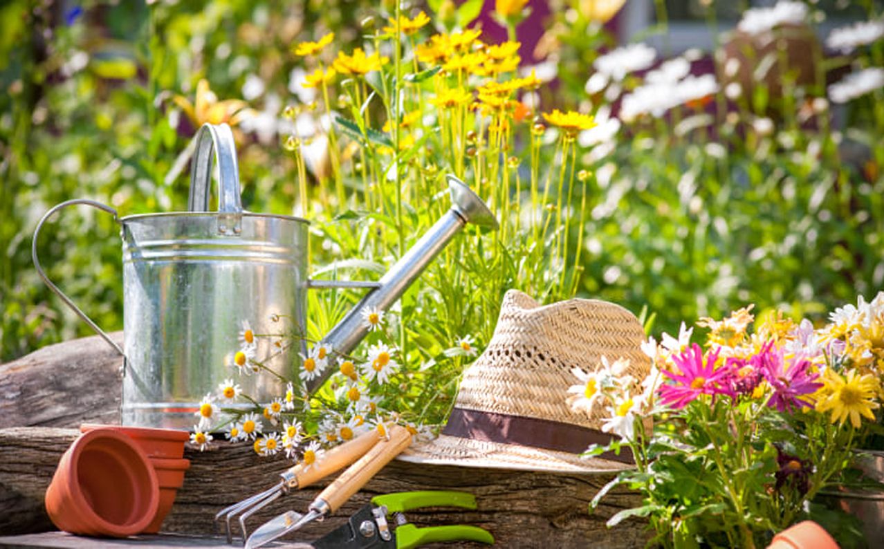 Gartenwerkzeuge, Gießkanne und Strohhut auf einem Holztisch zwischen bunten Blumen